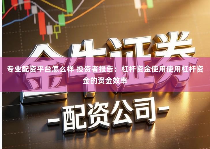 专业配资平台怎么样 投资者报告：杠杆资金使用使用杠杆资金的资金效率