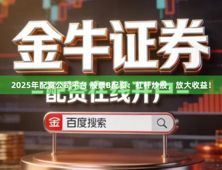 2025年配资公司平台 股票B配资：杠杆炒股，放大收益！