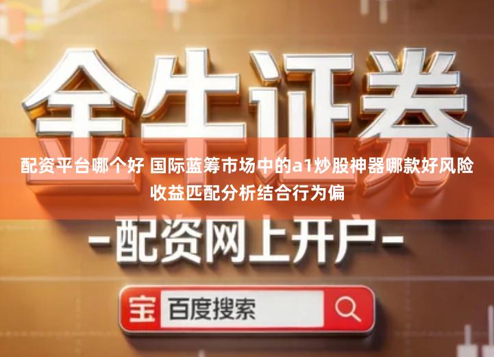 配资平台哪个好 国际蓝筹市场中的a1炒股神器哪款好风险收益匹配分析结合行为偏